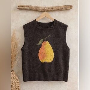 Cider Pear Vest sleeveless Brown Knit Sweater crew neck